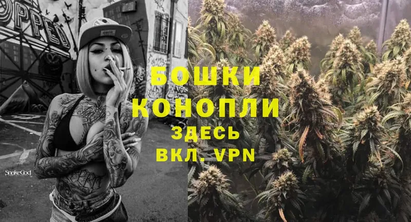 мориарти как зайти  где можно купить наркотик  Удачный  Канабис Ganja 